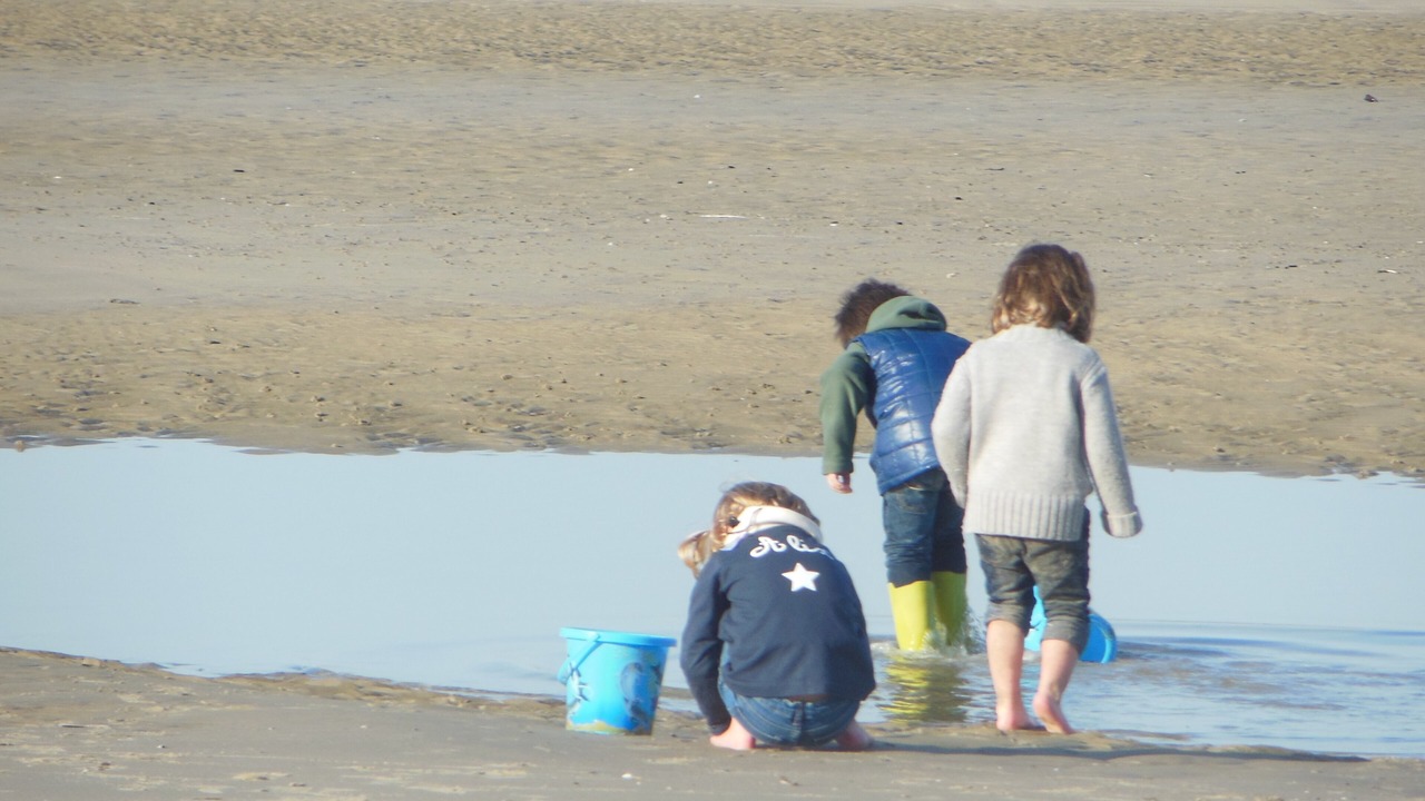 Photo of Others in Hardelot-Plage