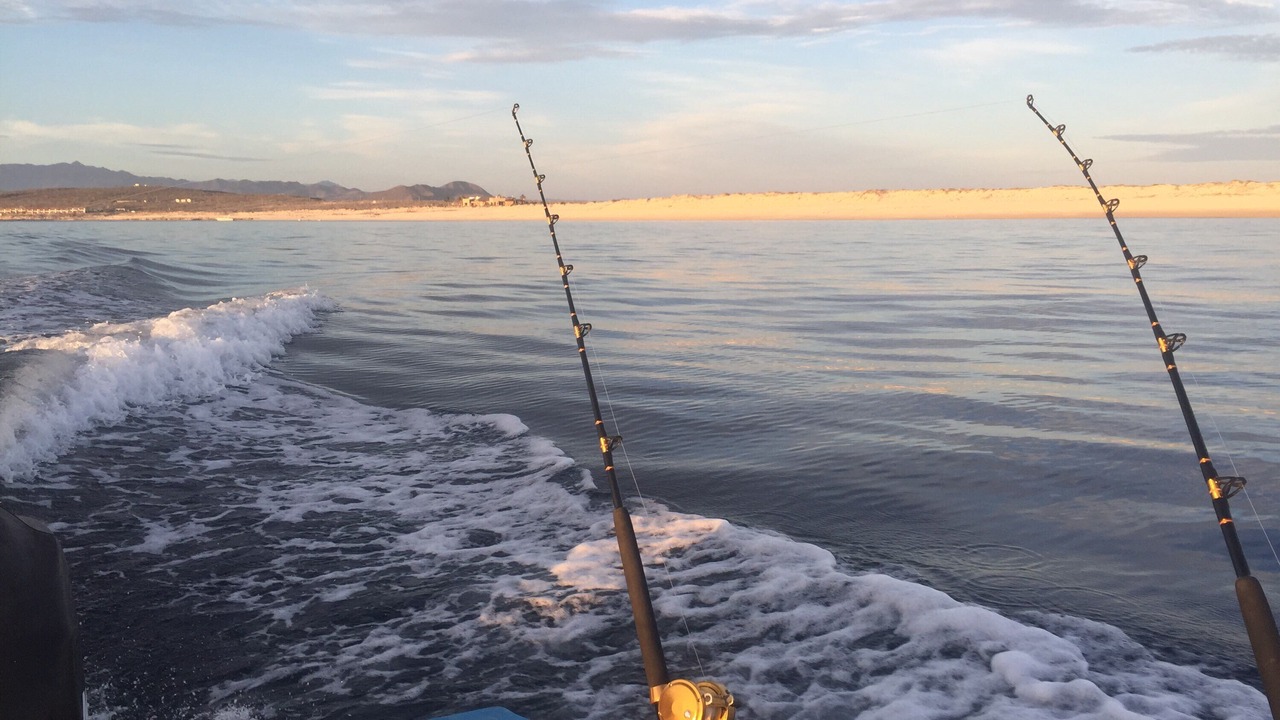 Photo of Others in Los Barriles