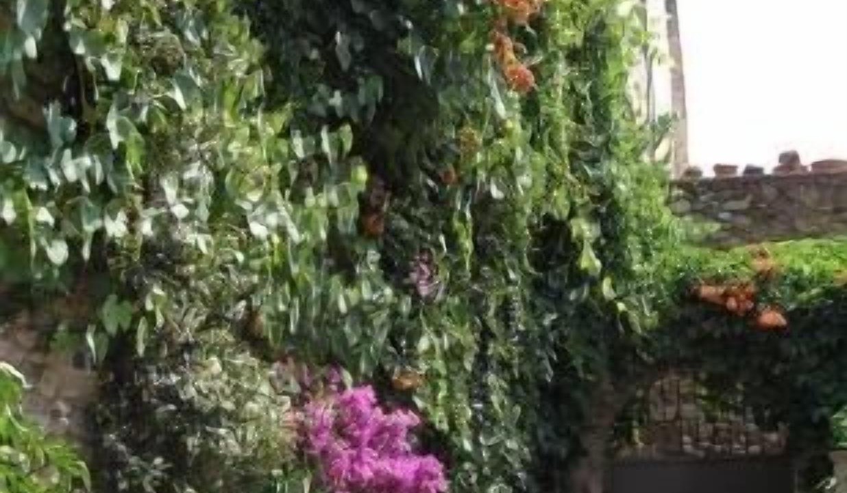 Photo of Outdoor in Crespia