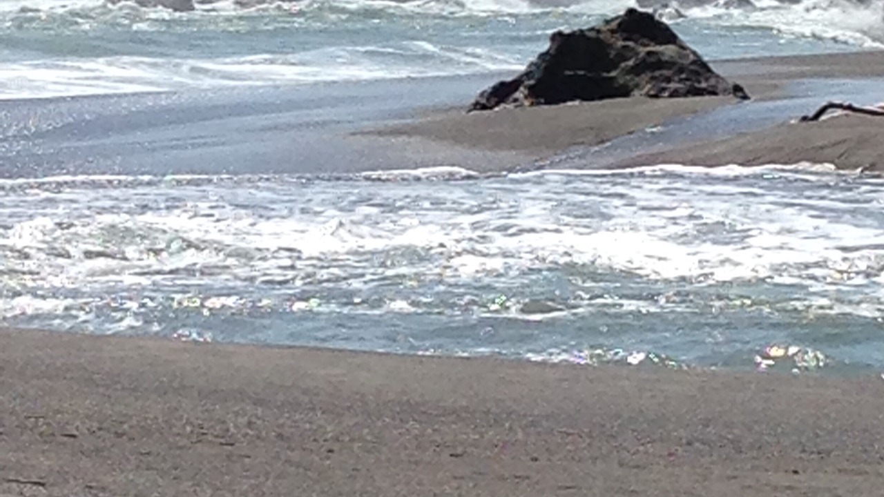 Photo of Others in Albion