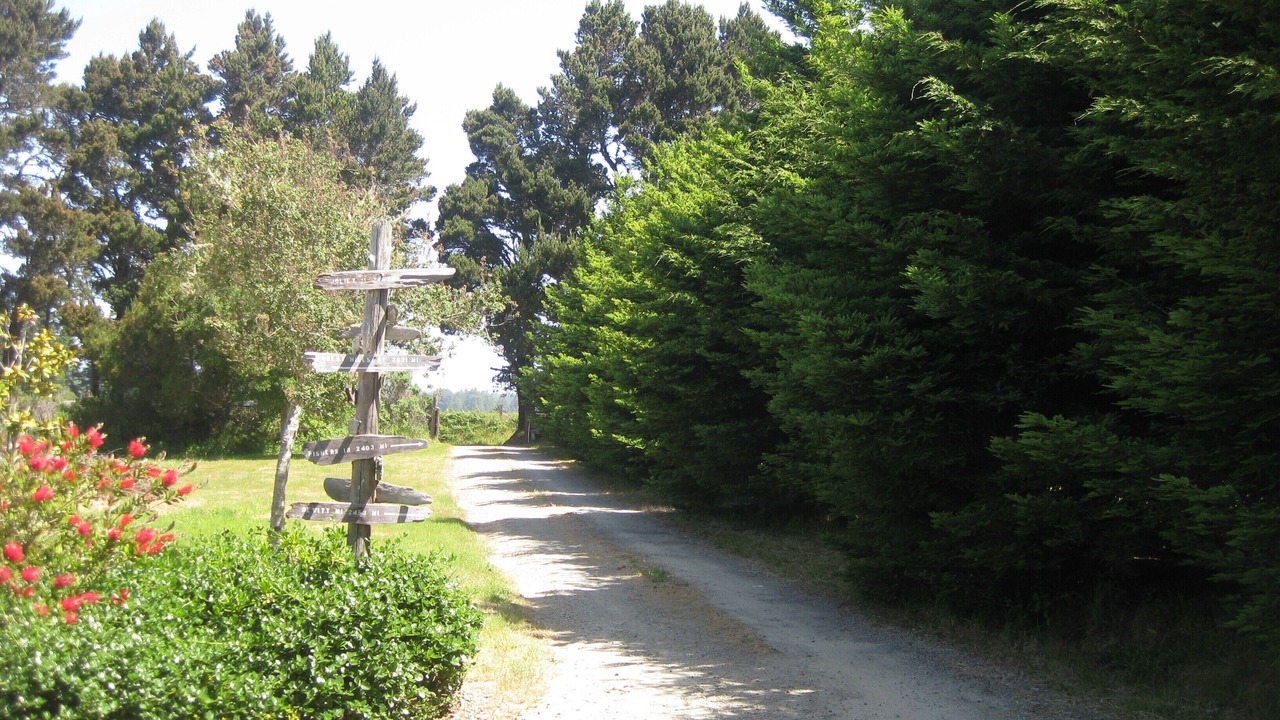 Photo of Others in Albion