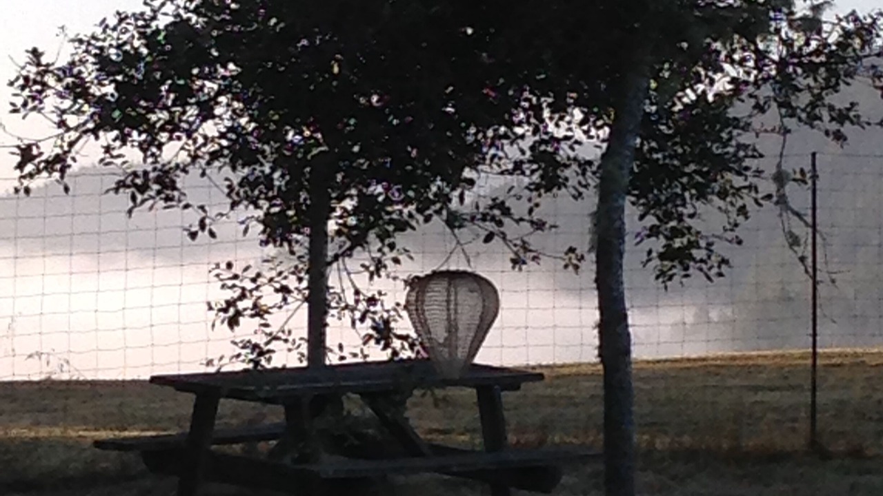 Photo of Others in Albion