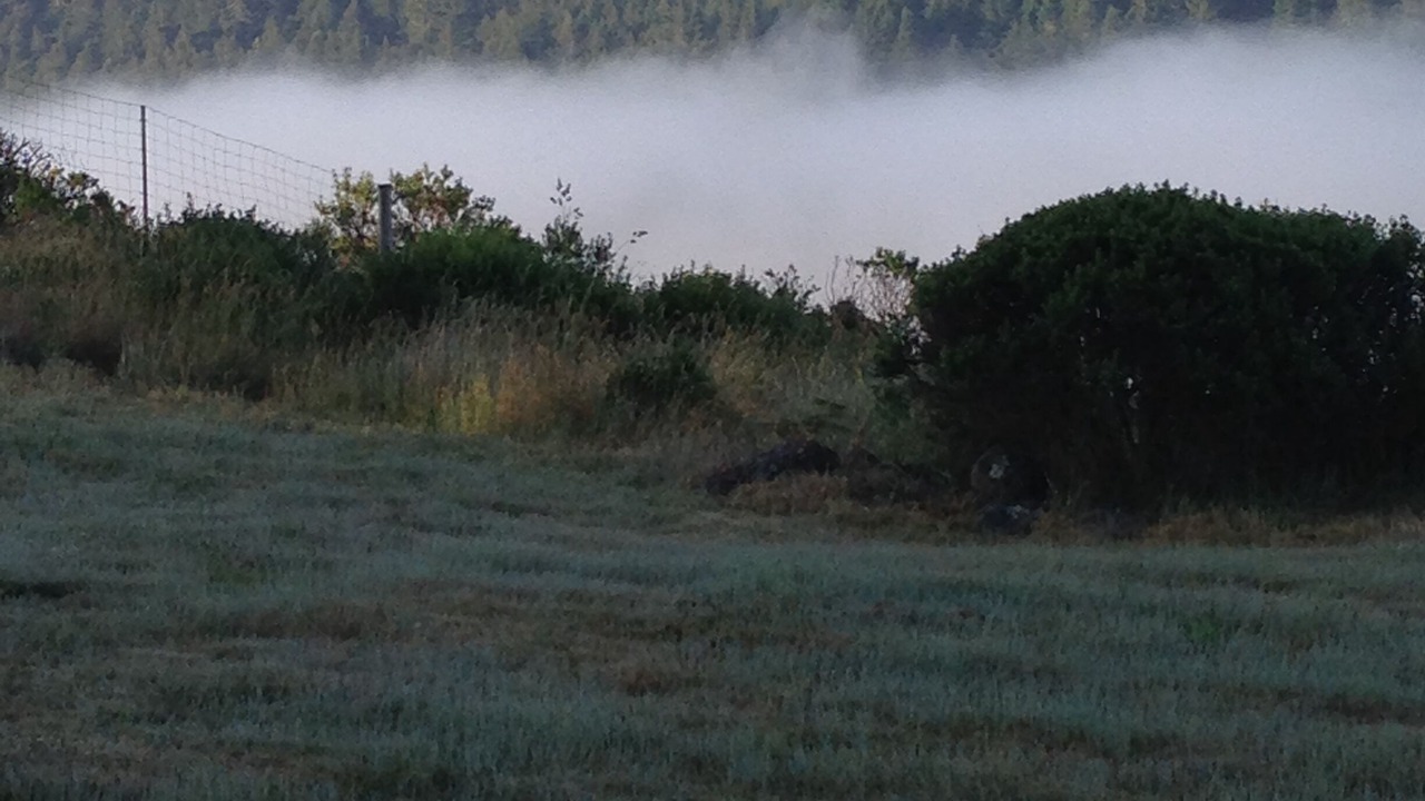 Photo of Others in Albion