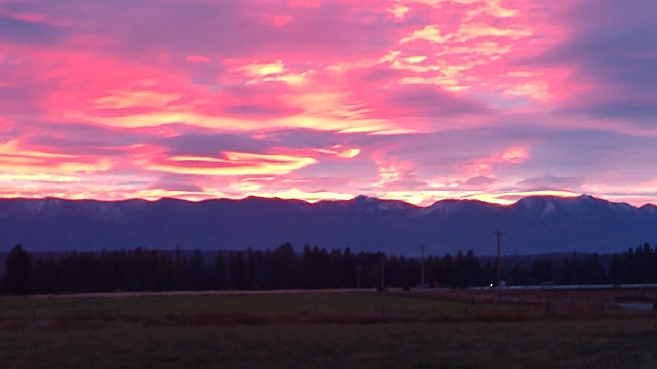 Photo of Others in Whitefish