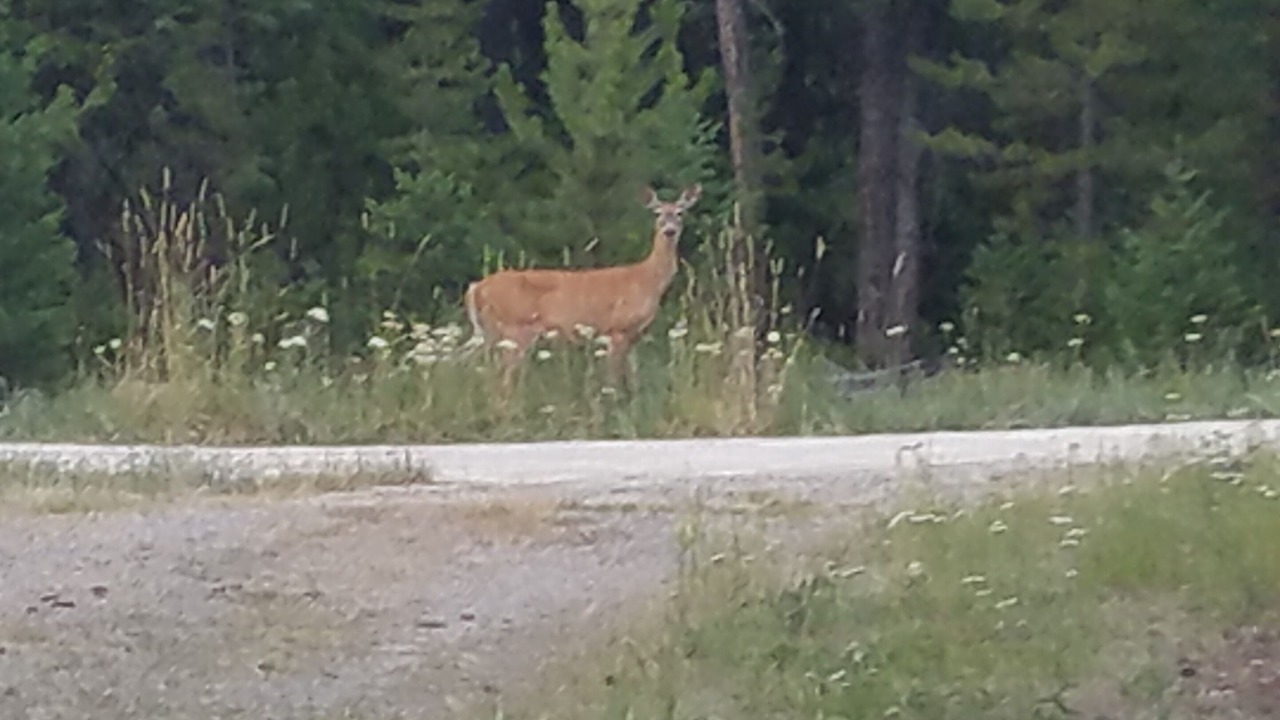 Photo of Others in Marion