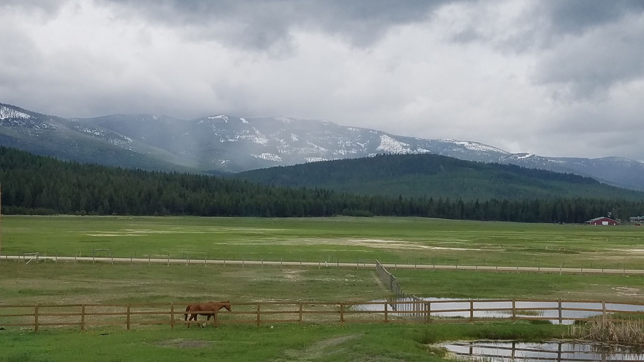 Photo of Outdoor in Marion