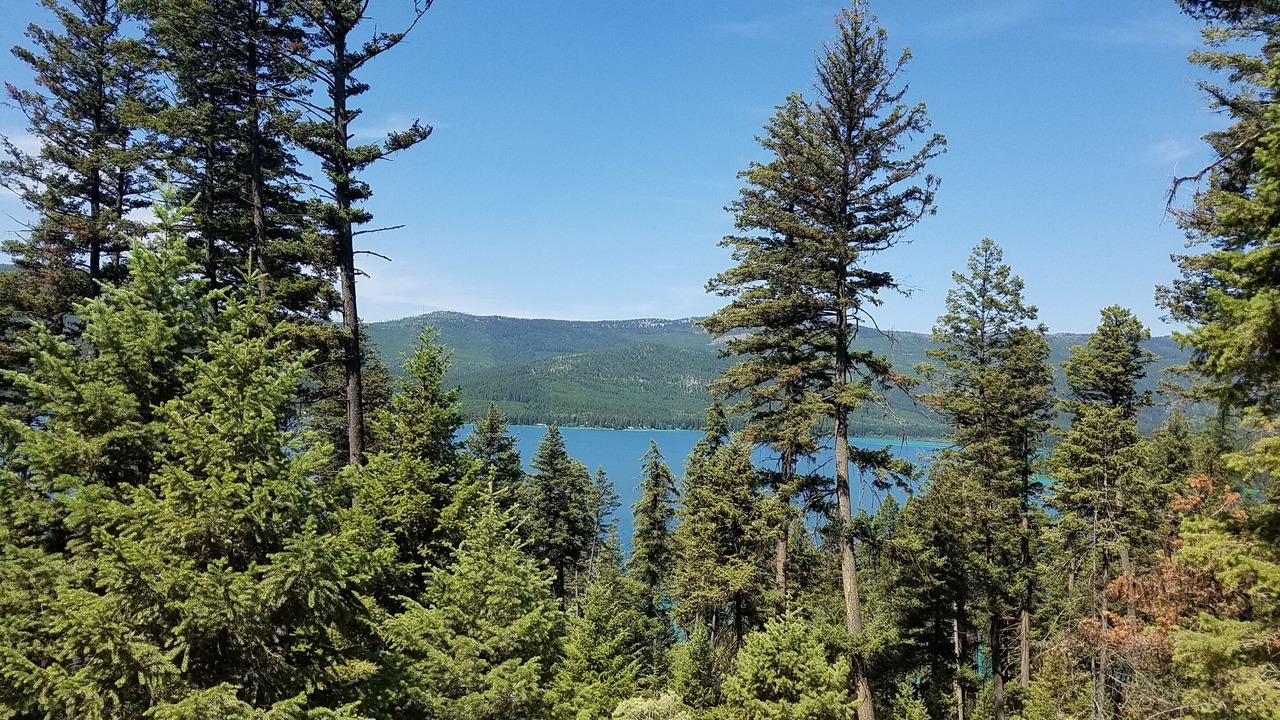 Photo of Outdoor in Marion