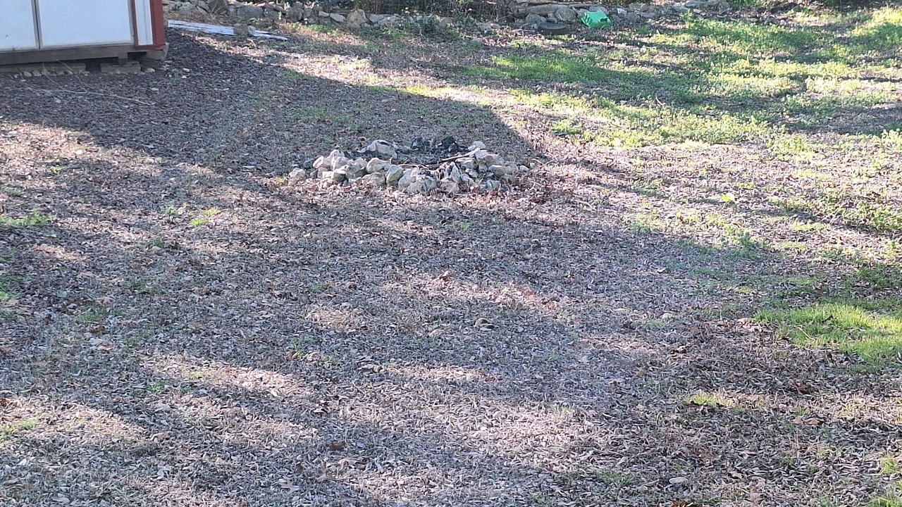 Photo of Others in Laguna Park