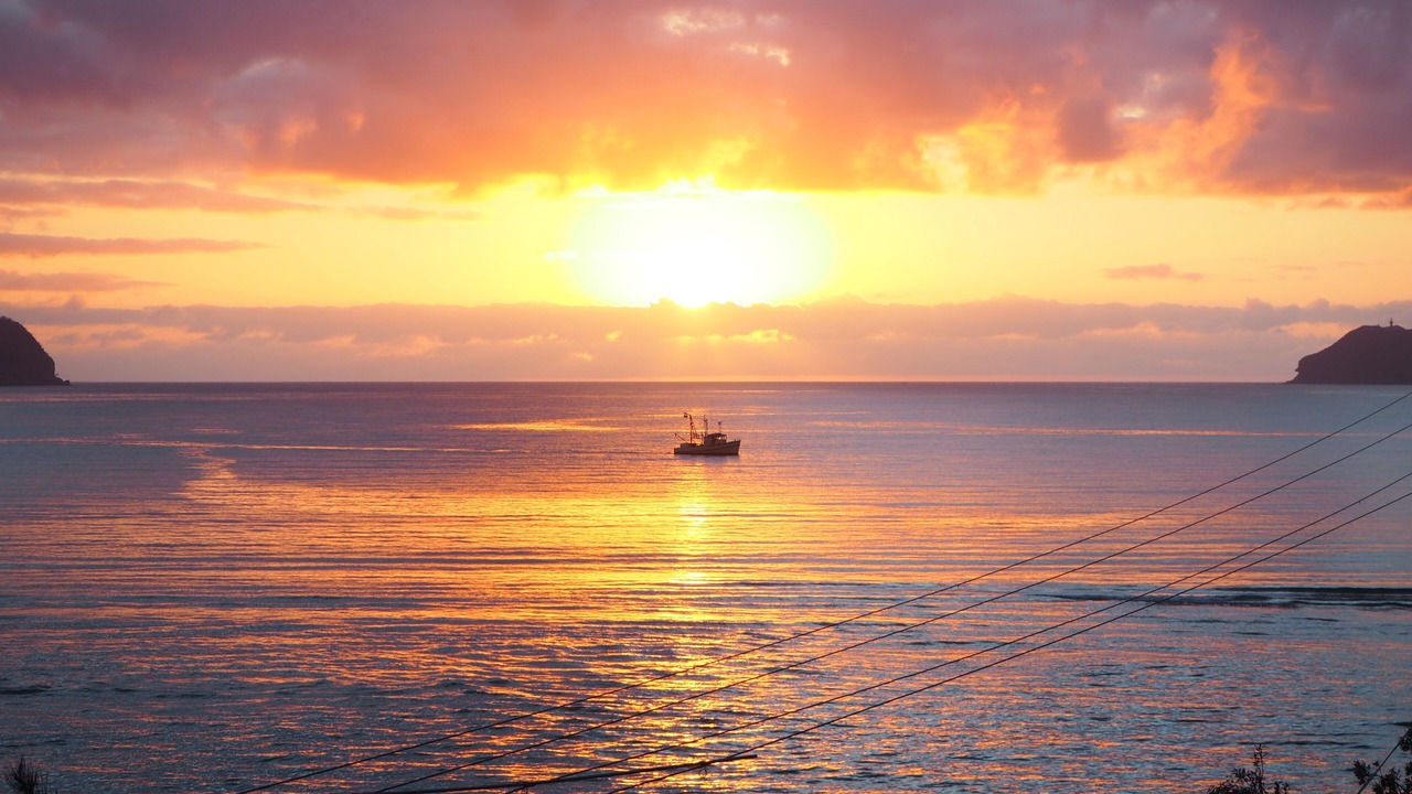 Photo of Others in Patonga