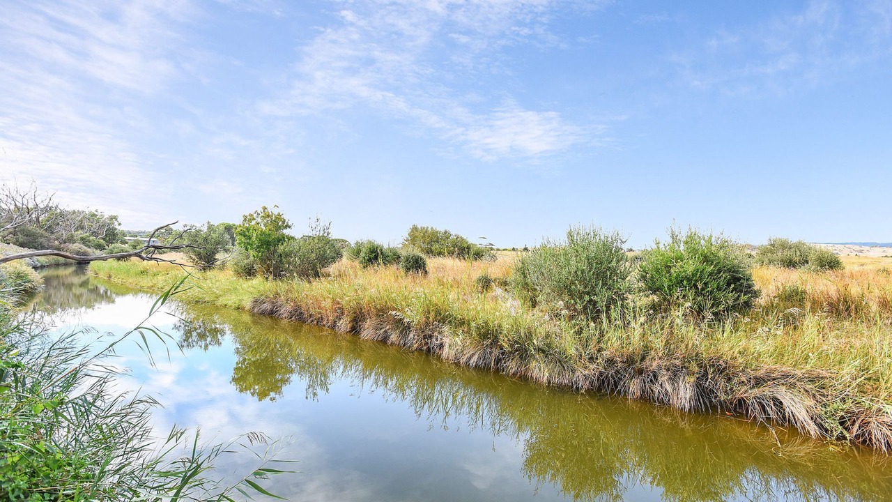 Photo of Others in Normanville