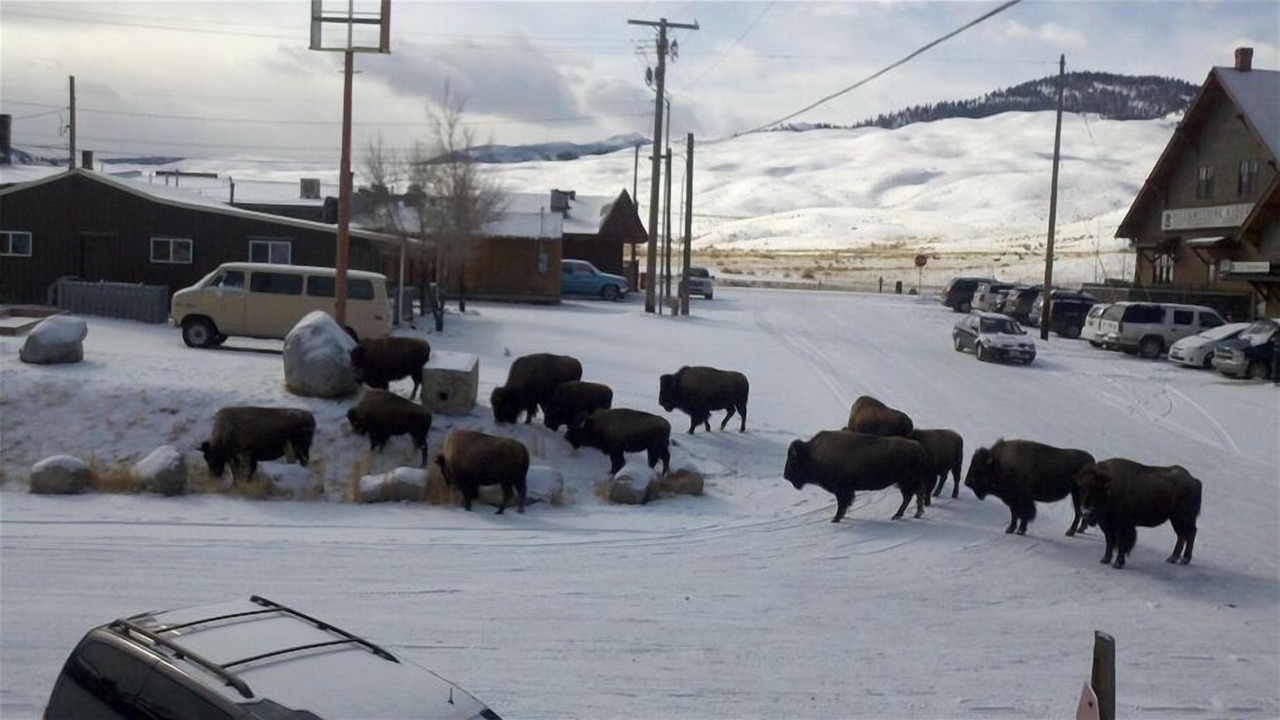 Photo of Others in Gardiner