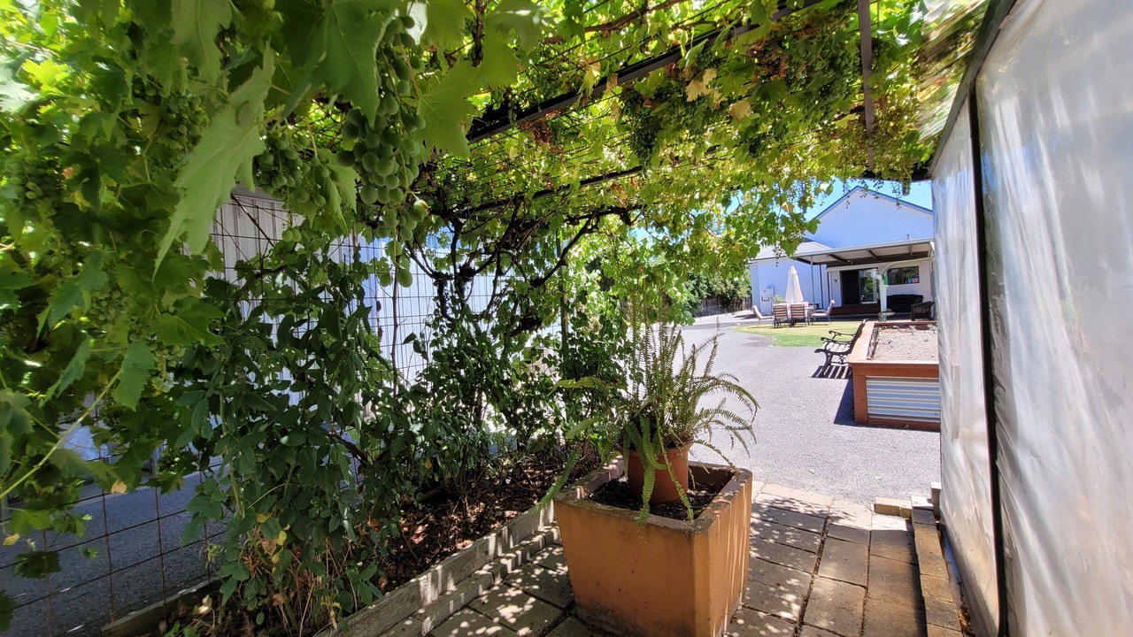 Photo of Outdoor in Horsham