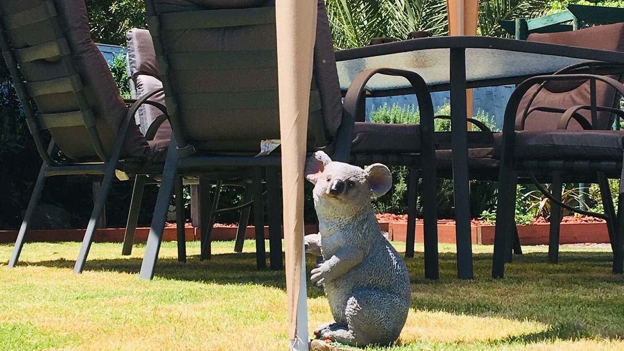 Photo of Others in Horsham