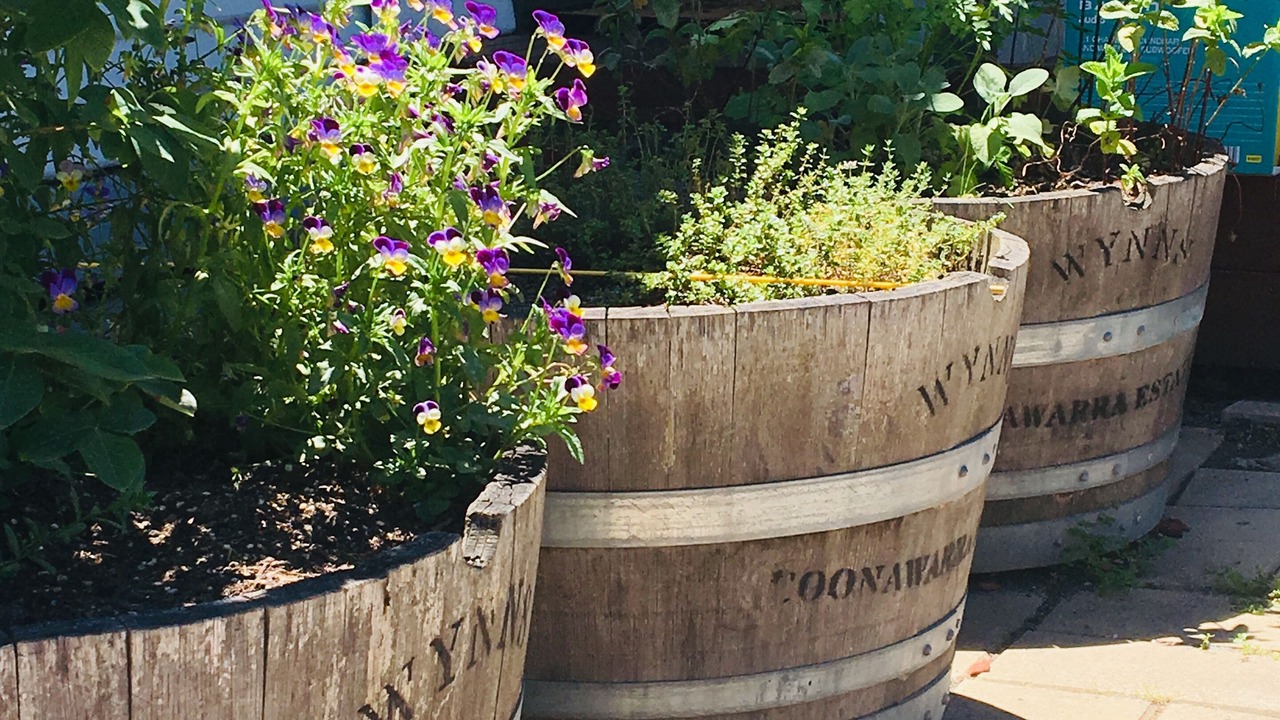 Photo of Outdoor in Horsham