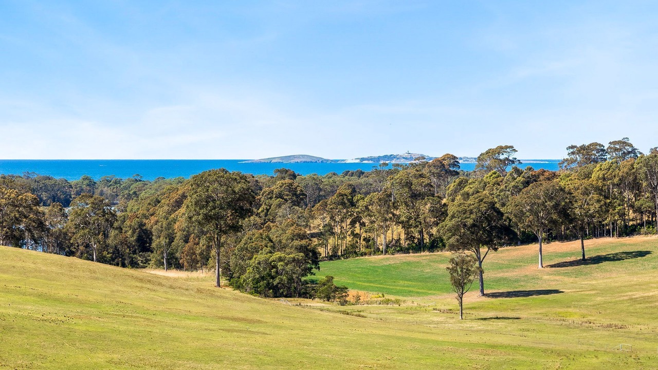 Photo of Others in Narooma