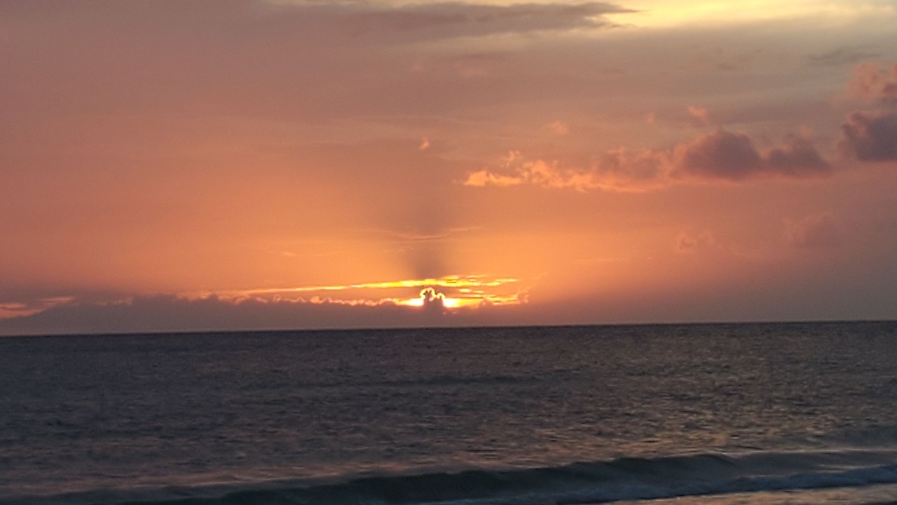 Photo of Others in Indian Shores