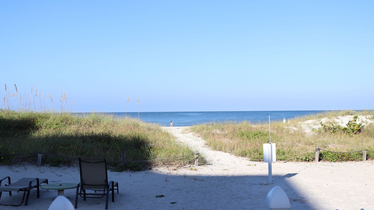Photo of Others in Indian Shores