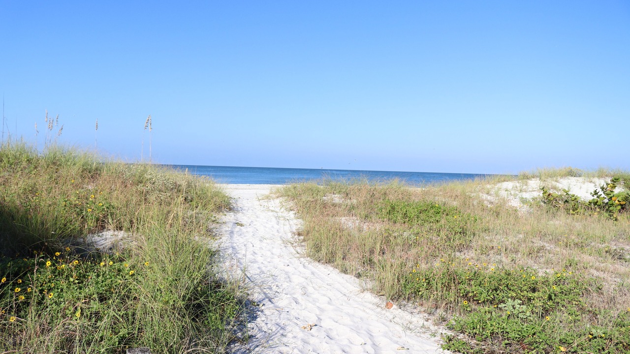 Photo of Others in Indian Shores