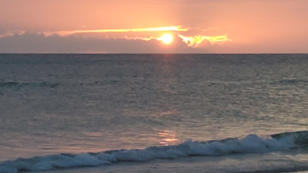 Photo of Others in Indian Shores