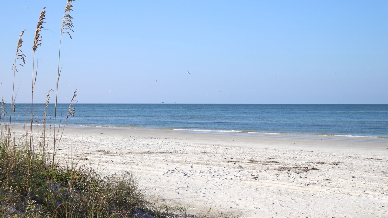Photo of Others in Indian Shores
