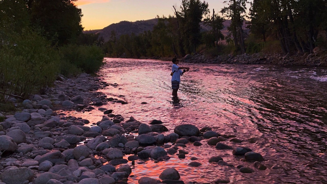 Photo of Others in Darby