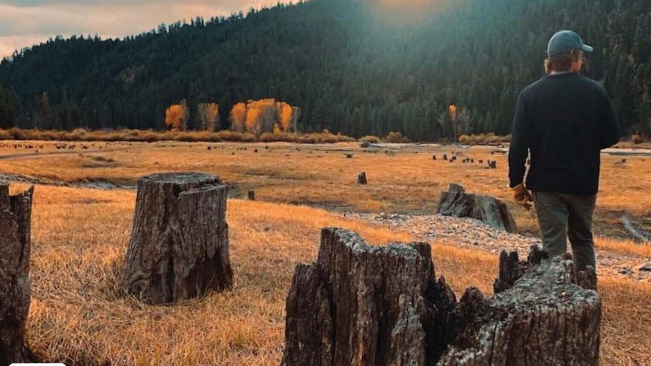 Photo of Others in Darby