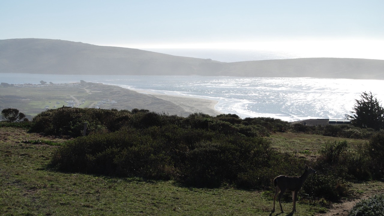 Photo of Others in Dillon Beach
