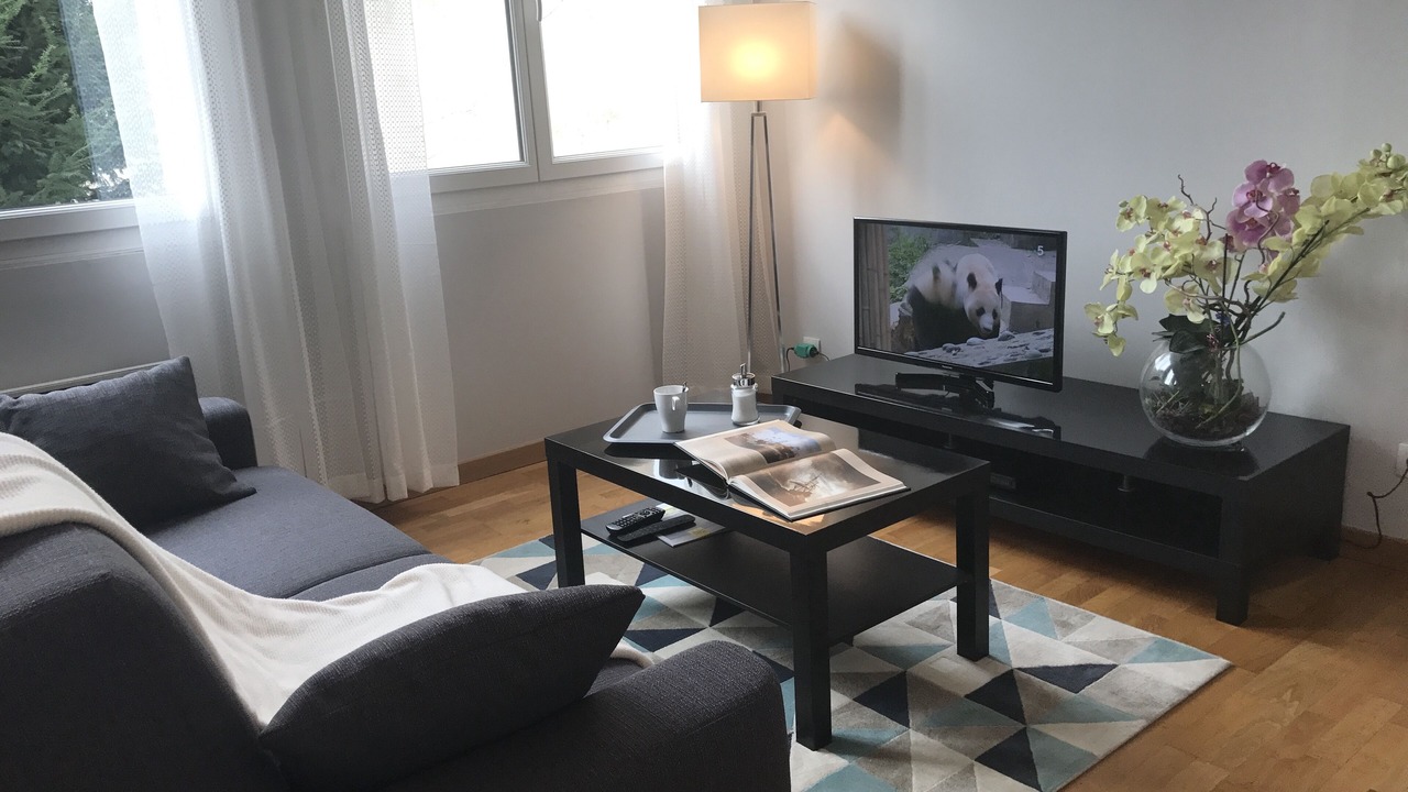 Photo of Livingroom in Albi