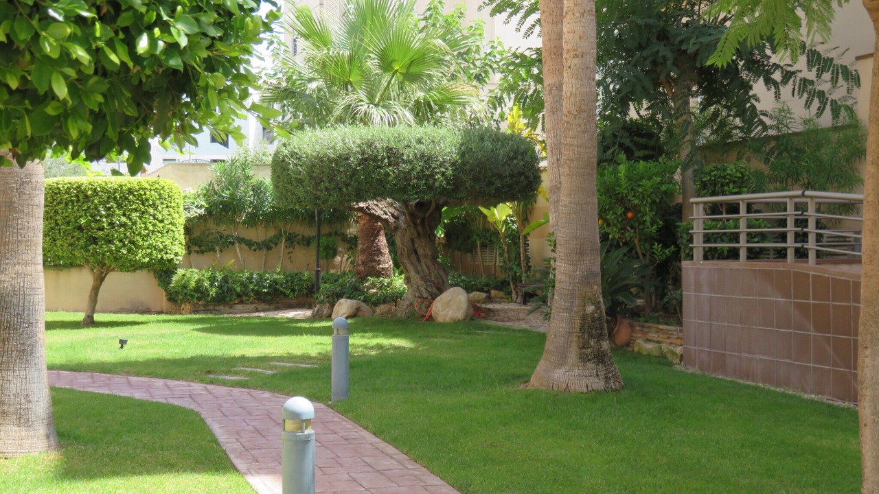 Photo of Outdoor in El Albir