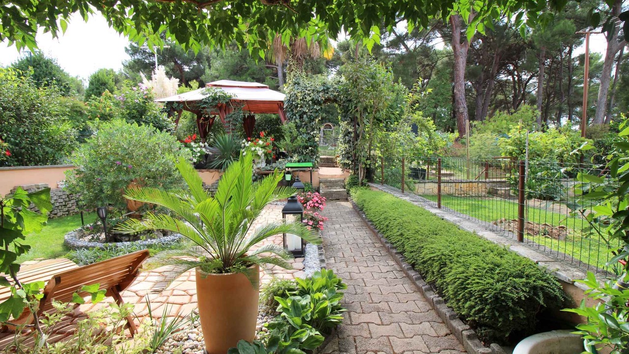 Photo of Outdoor in Brulo