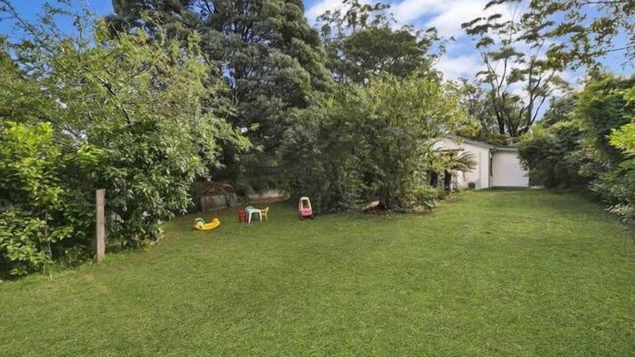 Photo of Others in Emerald