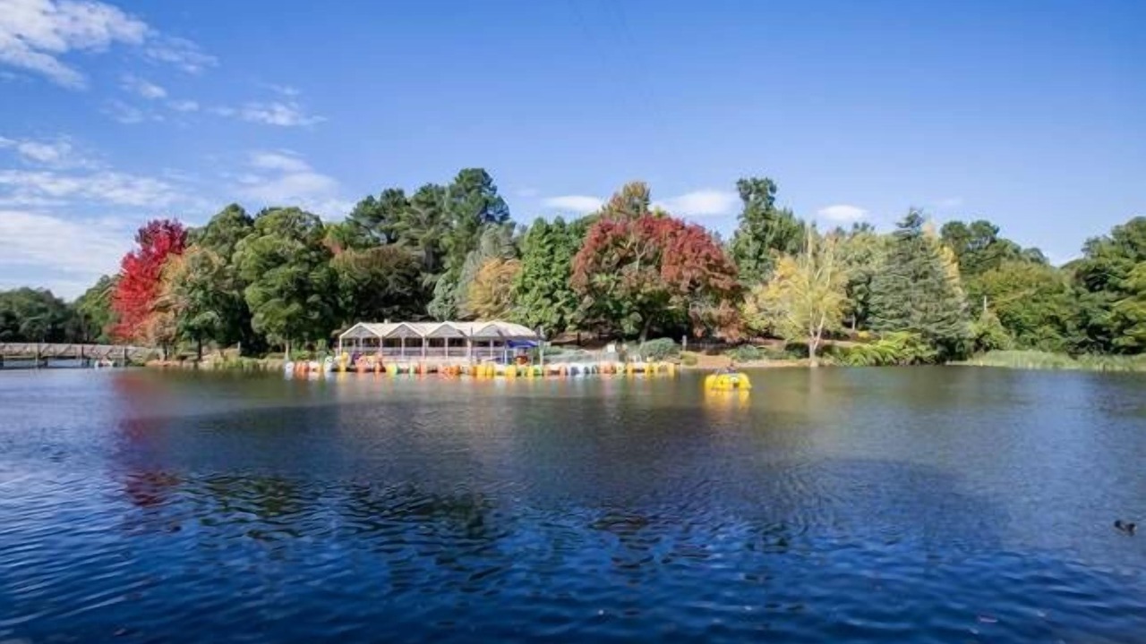 Photo of Others in Emerald