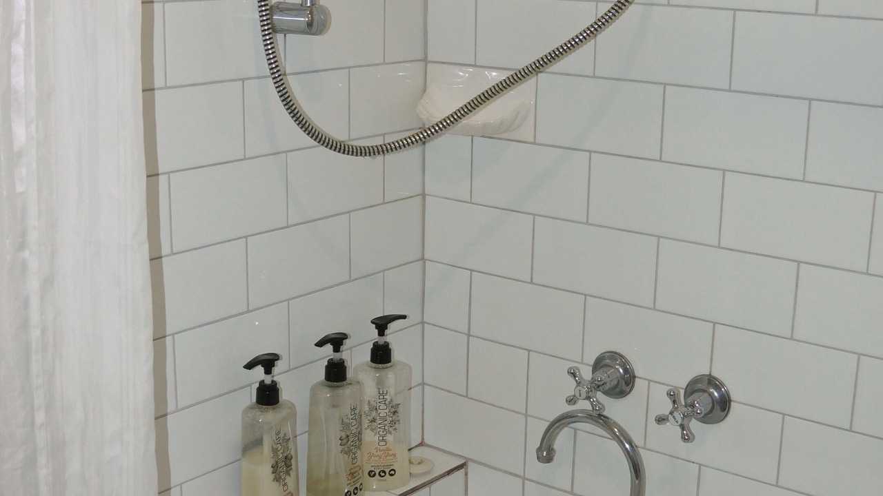 Photo of Others in Emerald