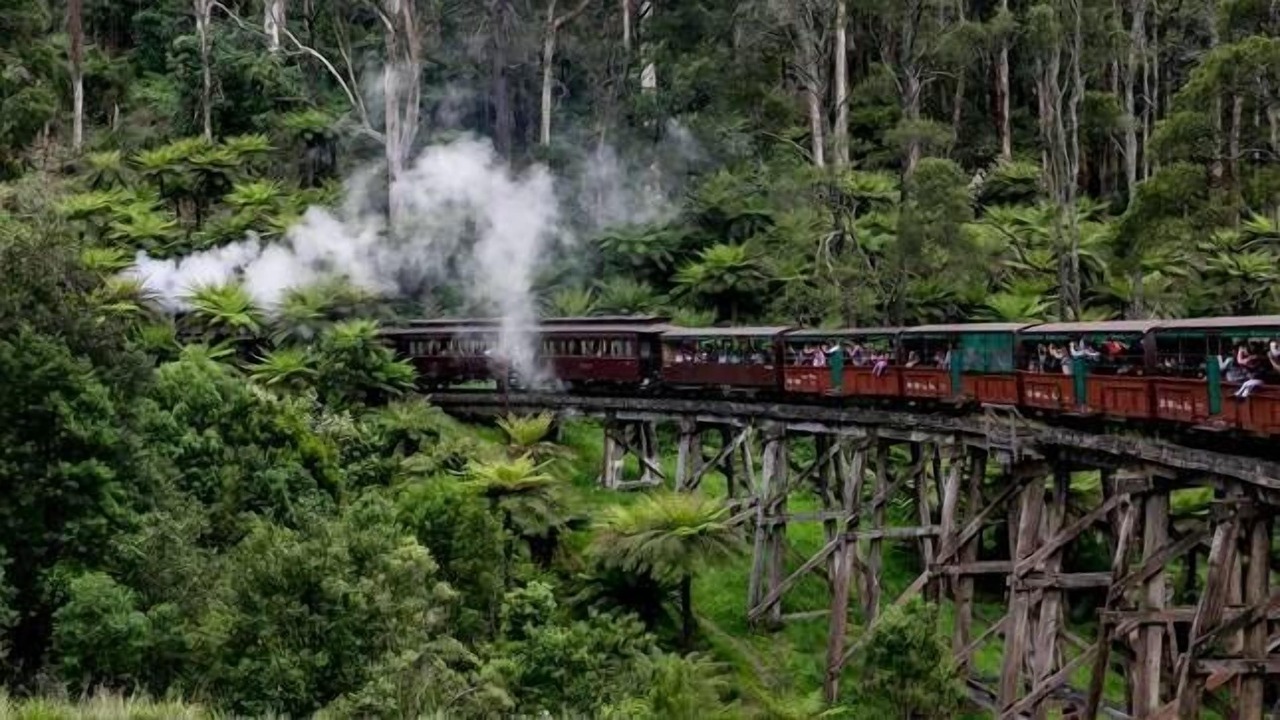 Photo of Others in Emerald