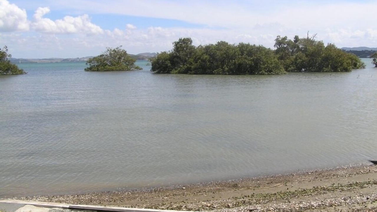 Photo of Others in Tamaterau