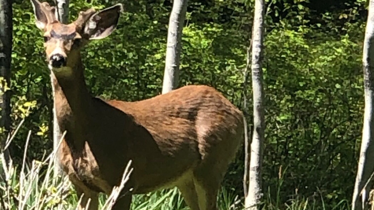 Photo of Outdoor in Black Butte Ranch