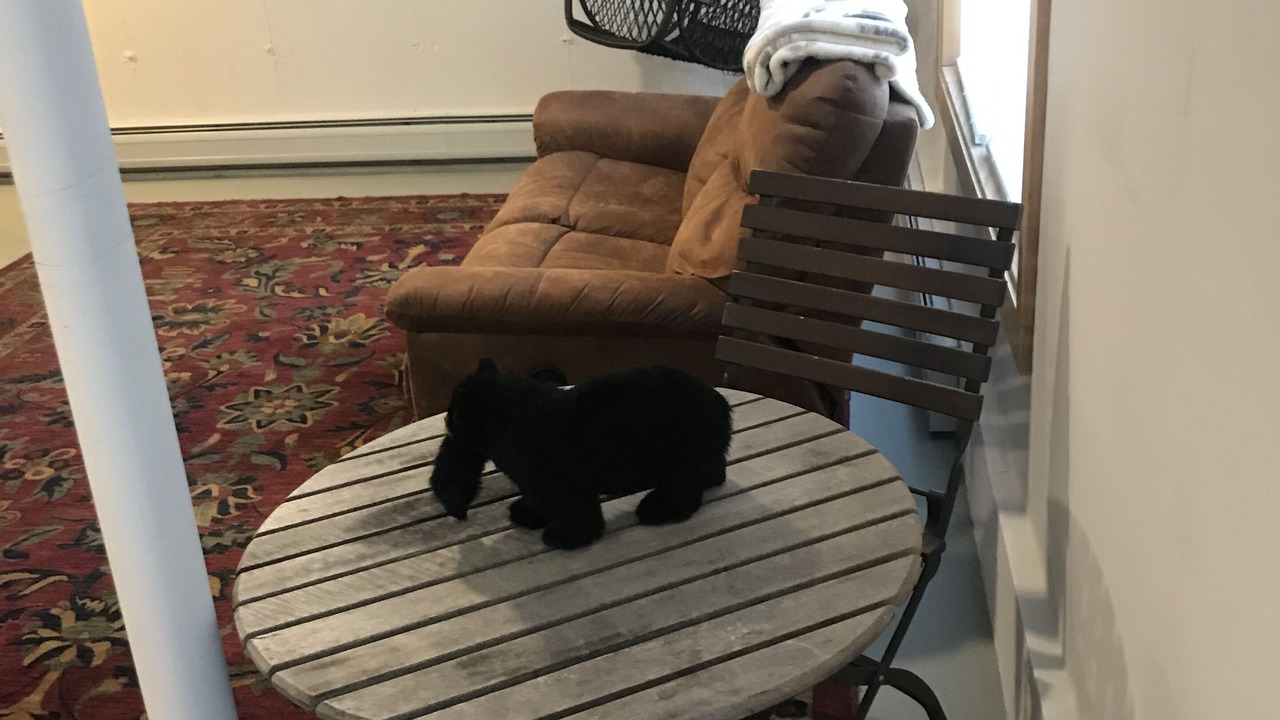 Photo of Others in Bridgton