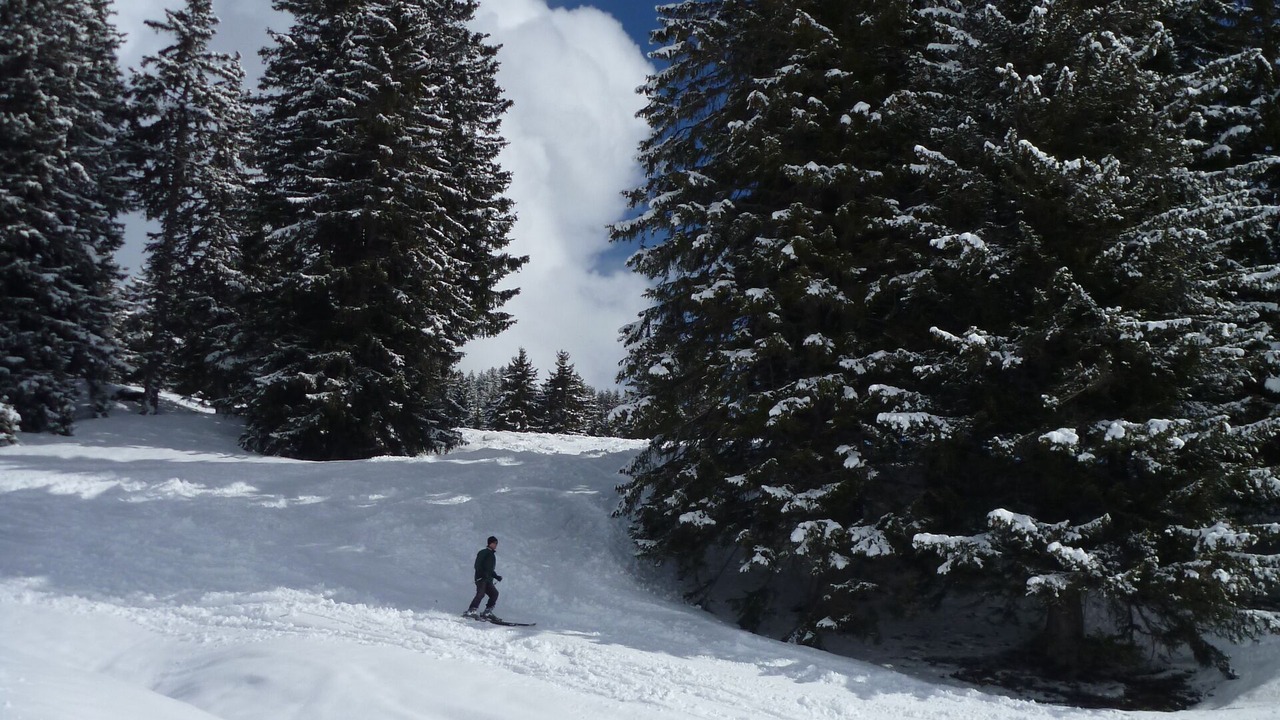 Photo of Others in Val d'Illiez