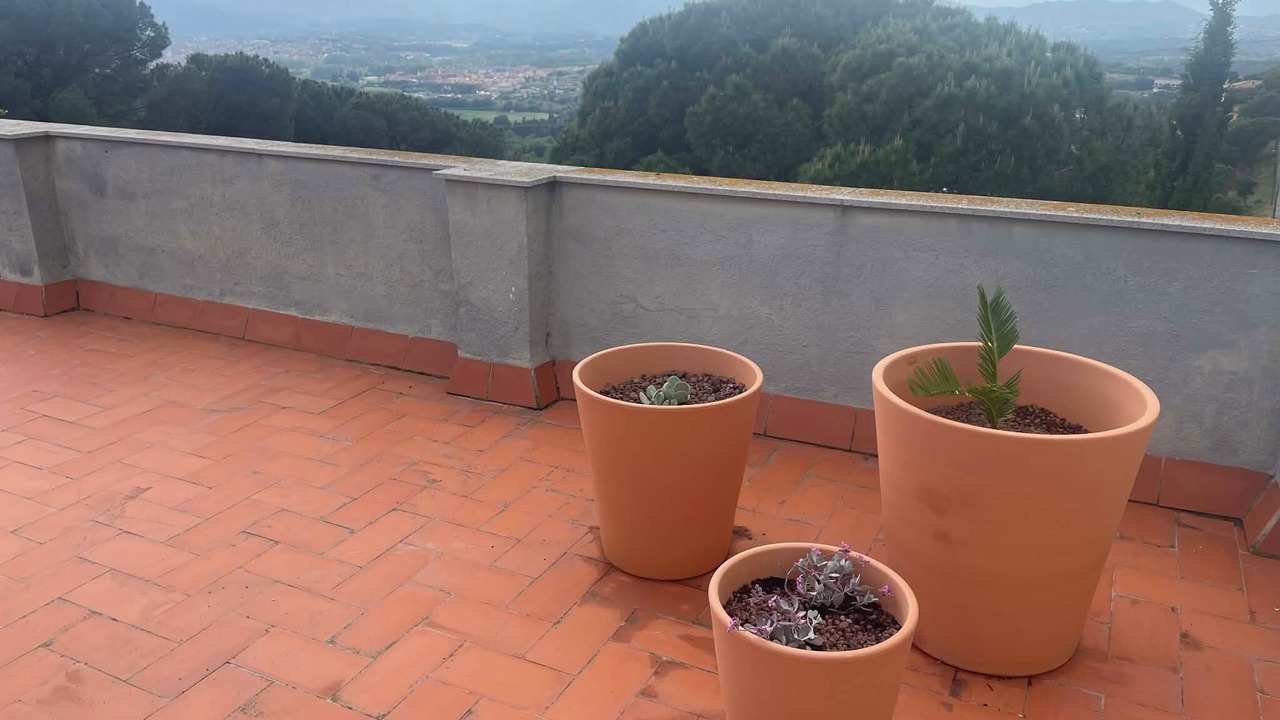 Photo of Outdoor in El Mas Mora