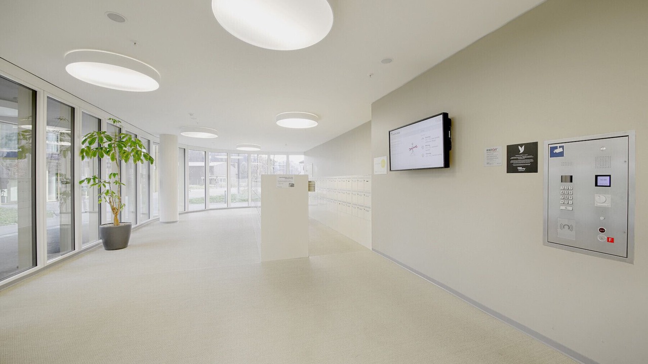 Photo of Others in Lucerne