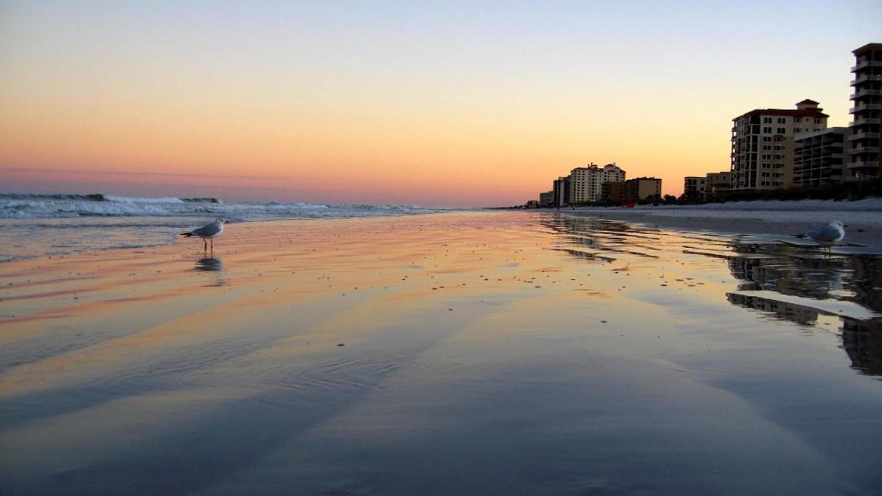 Photo of Others in Jacksonville Beach