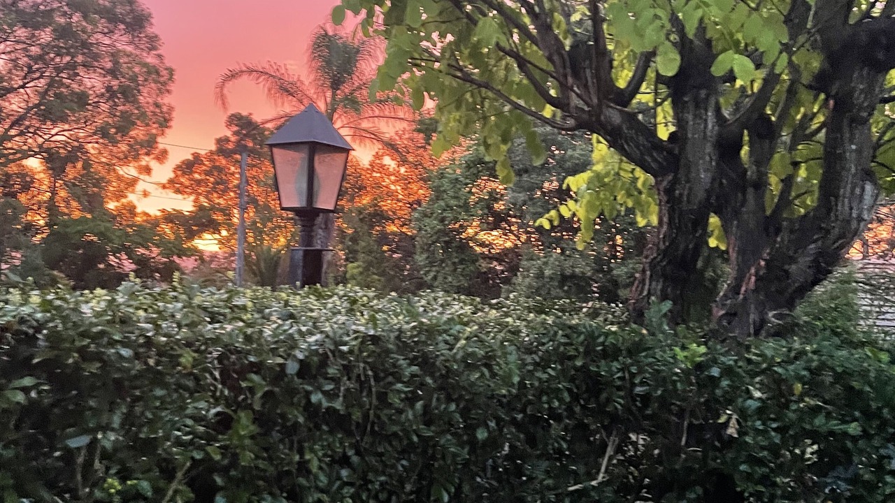 Photo of Outdoor in Cessnock