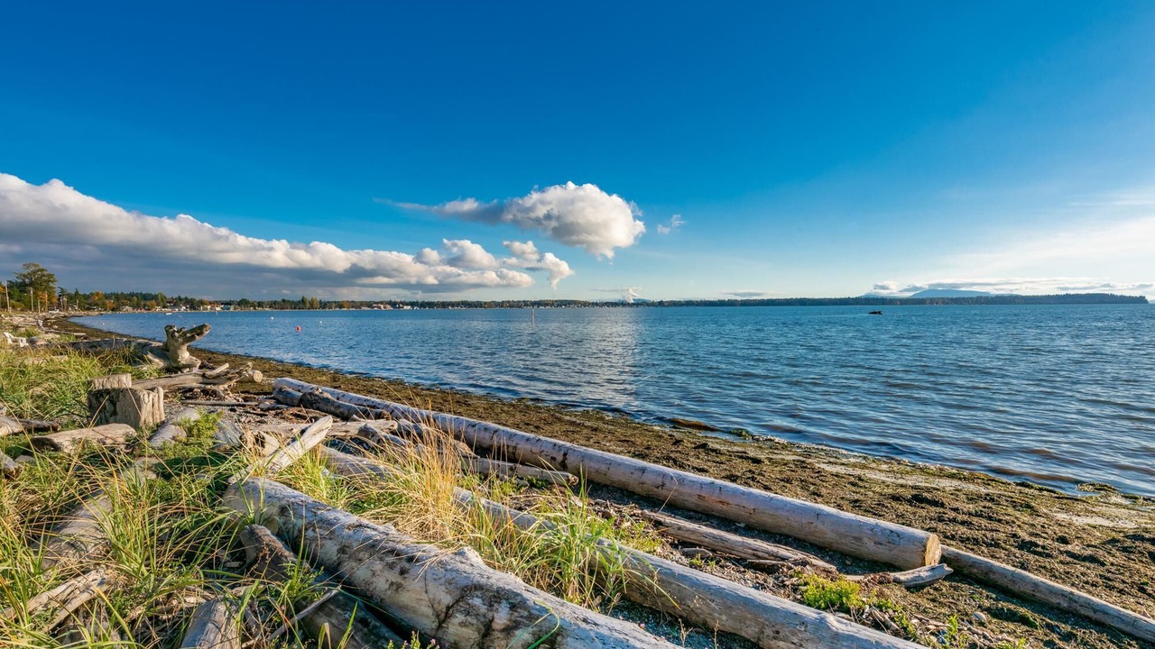 Photo of Others in Birch Bay