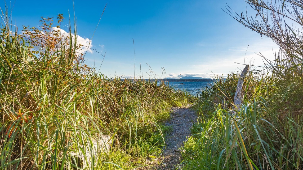 Photo of Others in Birch Bay