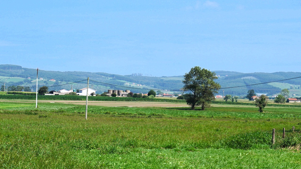 Photo of Outdoor in Loredo