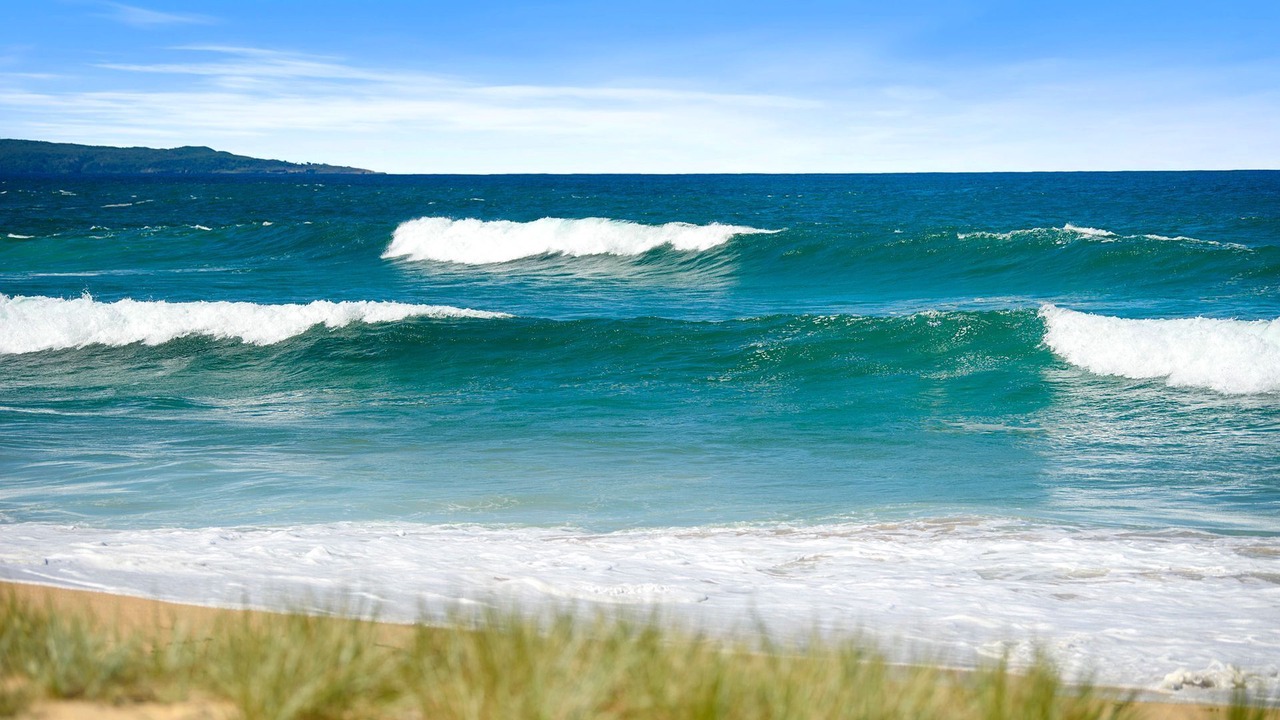 Photo of Others in Berrara