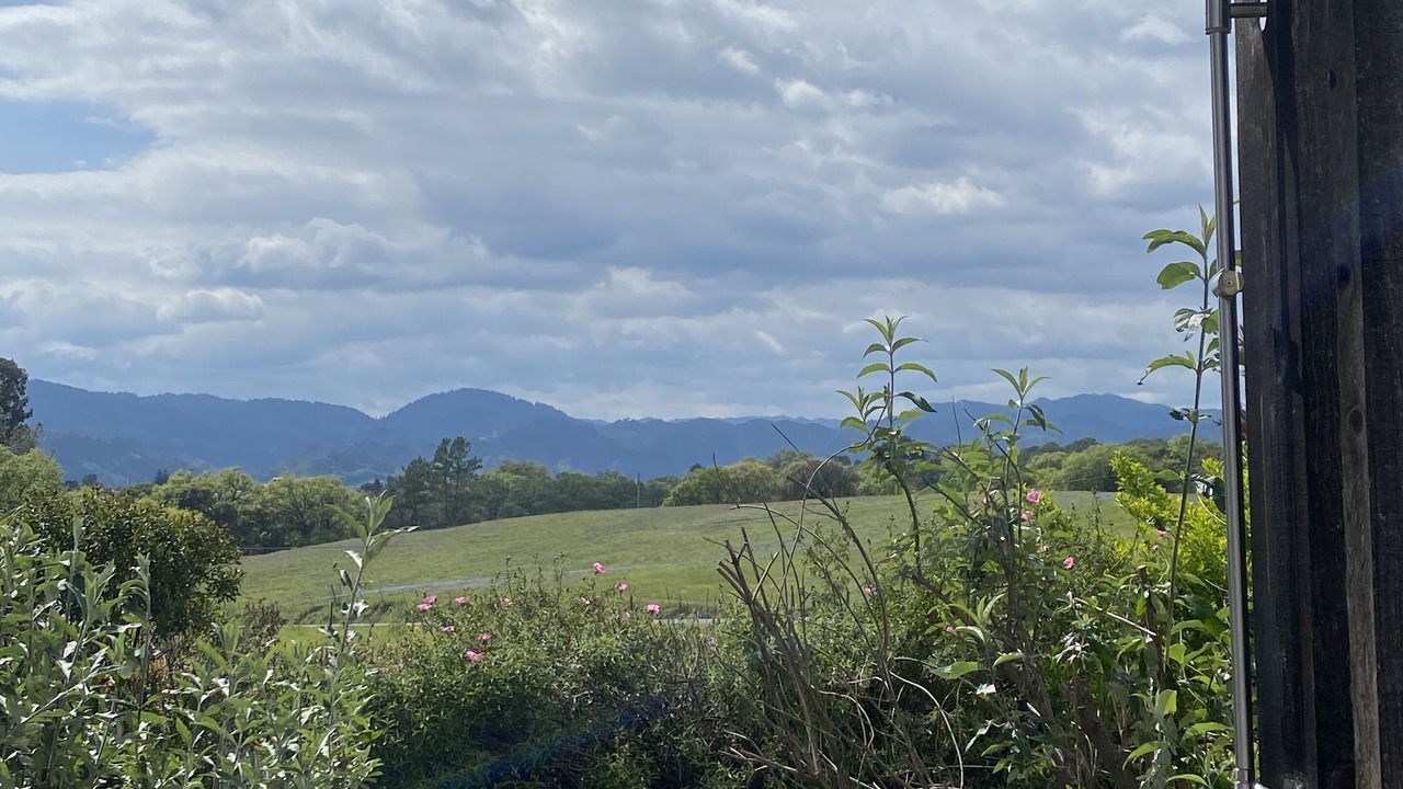Photo of Outdoor in Healdsburg
