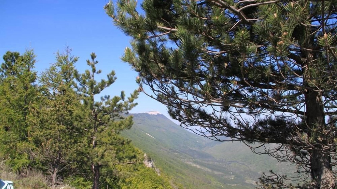 Photo of Outdoor in Mane