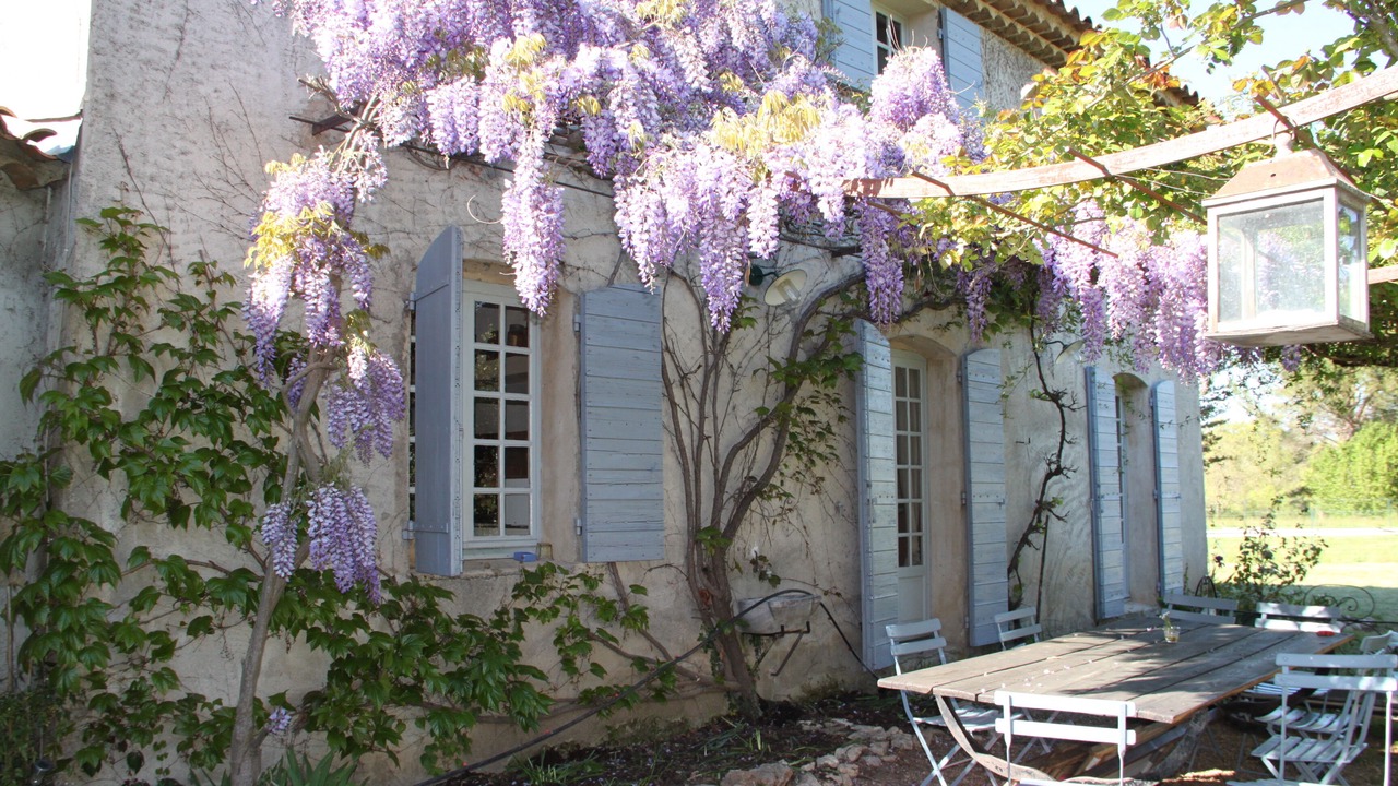 Photo of Outdoor in Mane