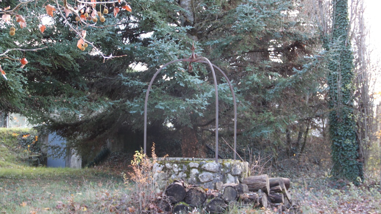 Photo of Outdoor in Mane
